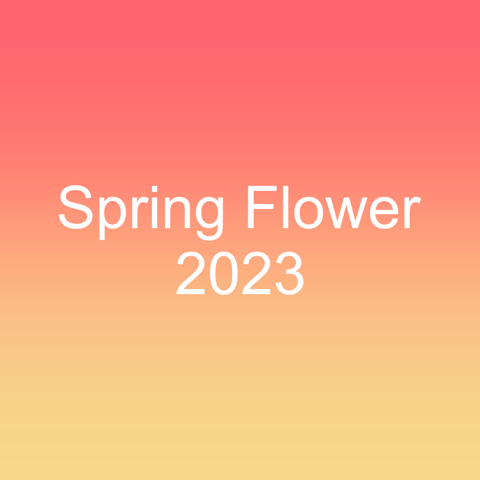 Spring Flower 2023