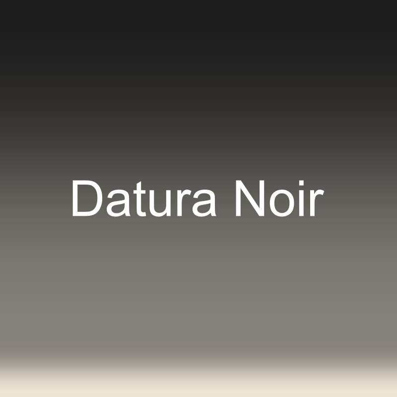 Datura Noir
