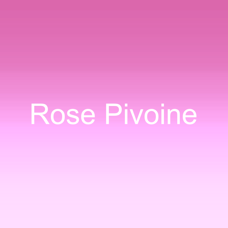 Rose Pivoine