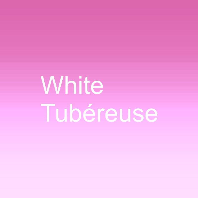 White Tubéreuse