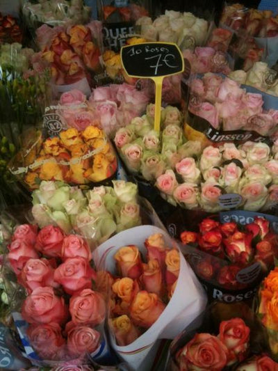 Paris Roses Enchantées – delicate and charming and feminine