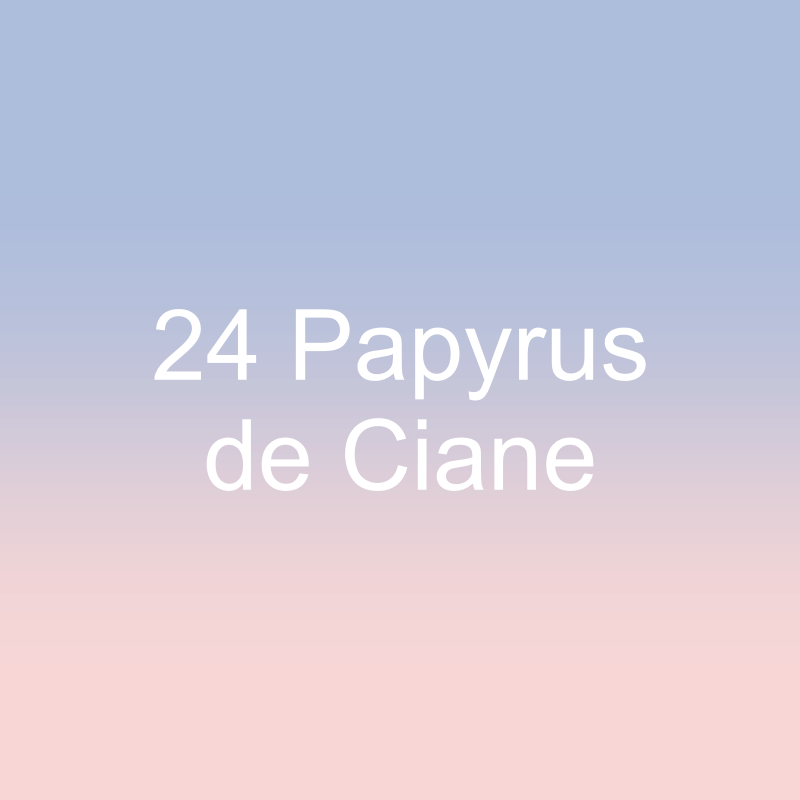24 Papyrus de Ciane
