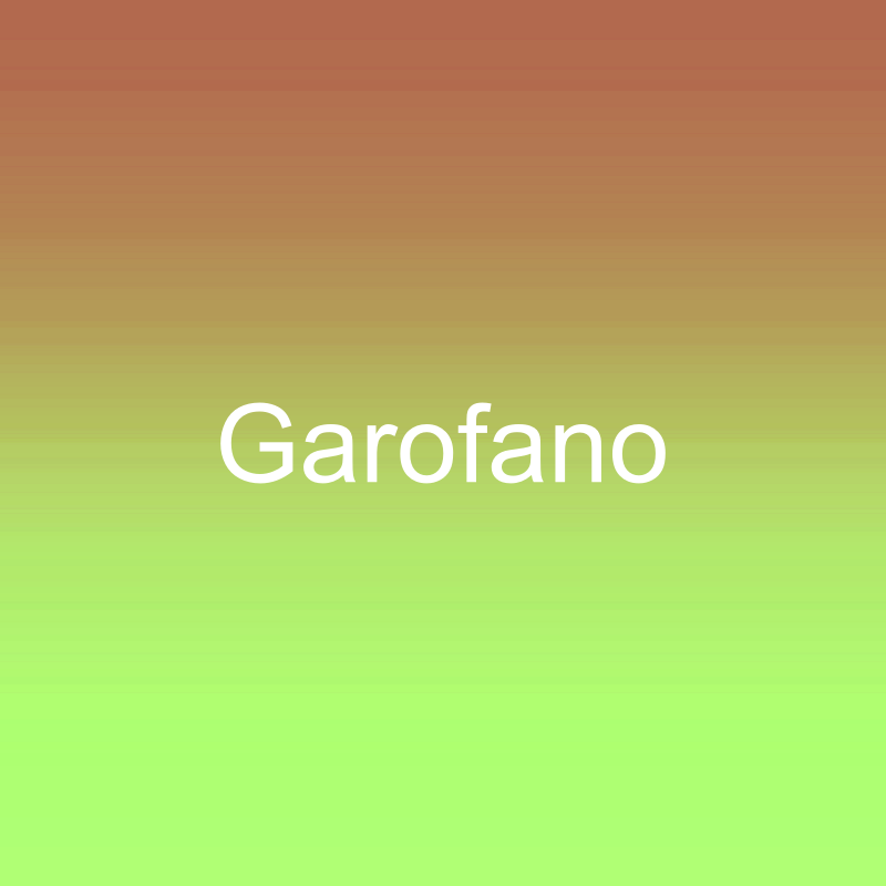 Garofano