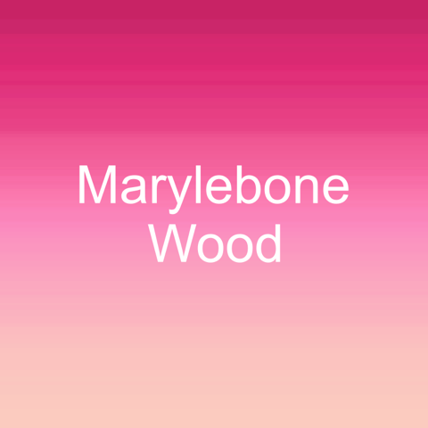 Marylebone Wood