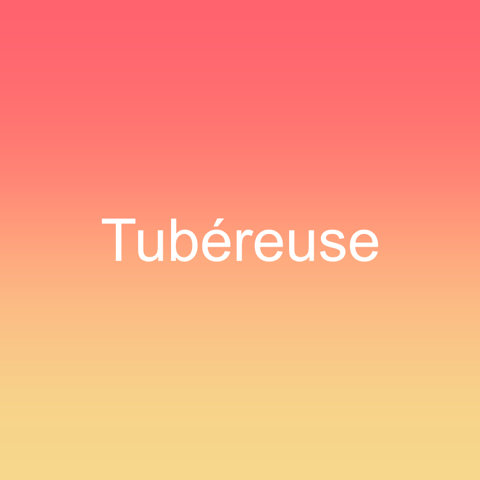 Tubéreuse