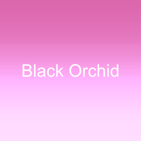 Black Orchid