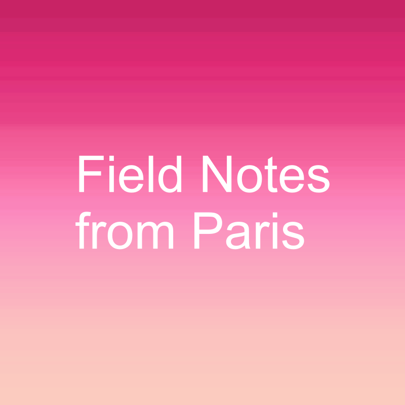 Field Notes from Paris