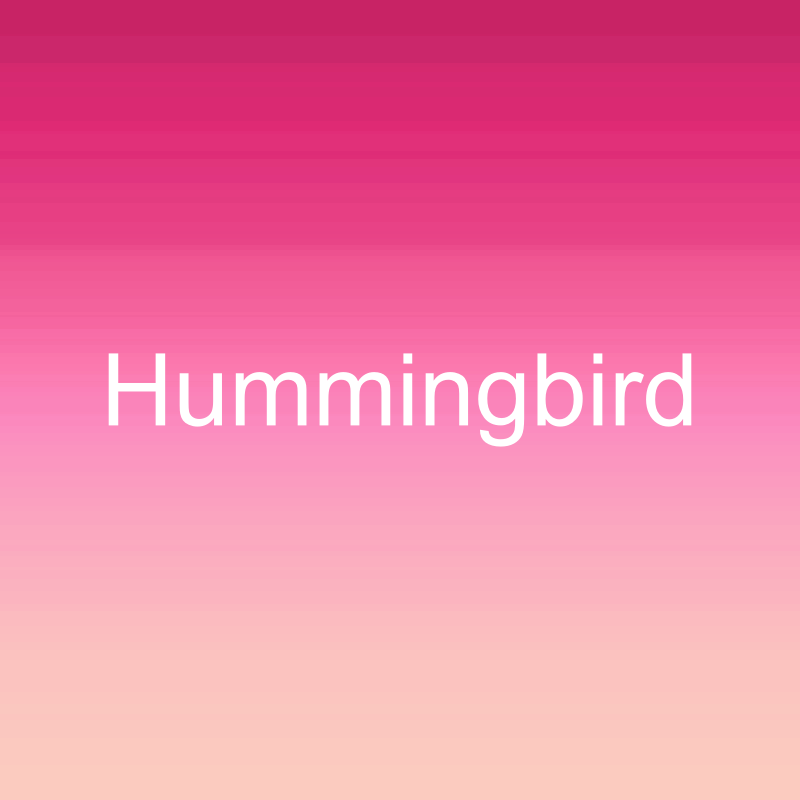 Hummingbird