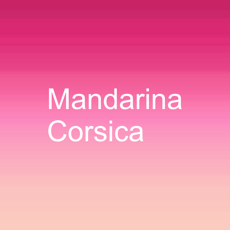 Mandarina Corsica