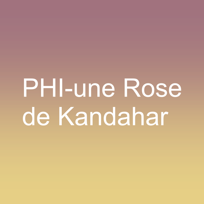 PHI - une Rose de Kandahar