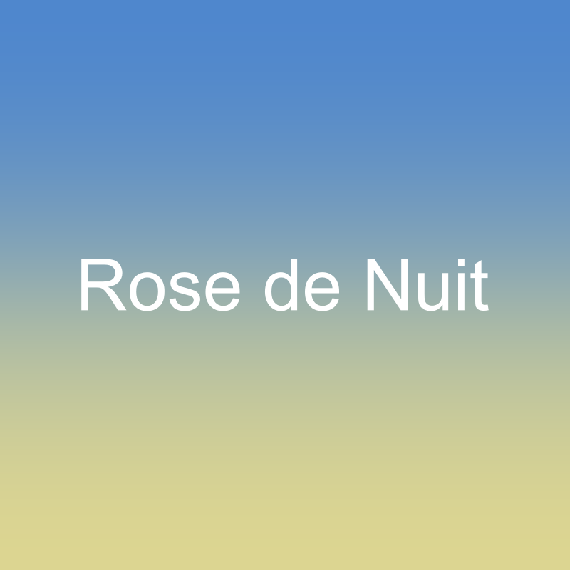 Rose de Nuit
