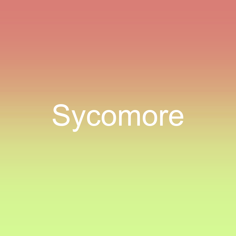 Sycomore