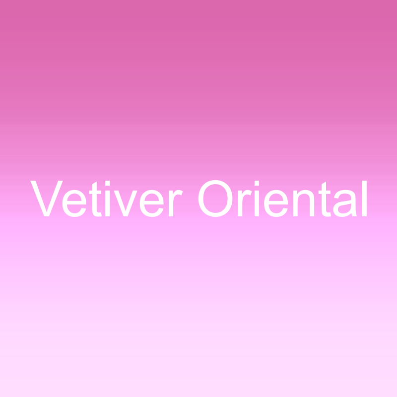 Vetiver Oriental